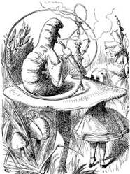 Caterpillar using a hookah drawn by John Tenniel, Alice in Wonderland