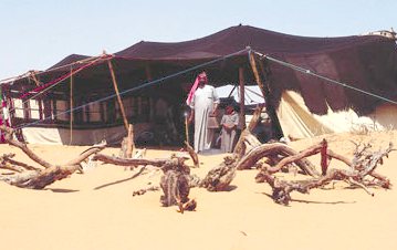 Bedouin goat hair woven tent